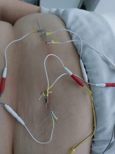 IMG-20250219-WA0016 (1)